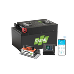 Cxeny 48V 120AH Lithium Golf Cart Battery With 18A Charger and Touch Monitor