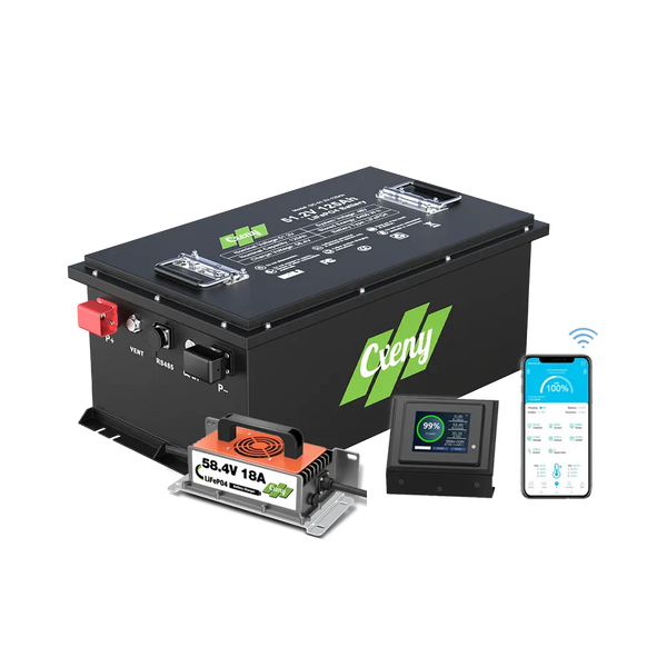 Cxeny 48V 125AH Lithium Golf Cart Battery 200A BMS Bluetooth With 18A Charger