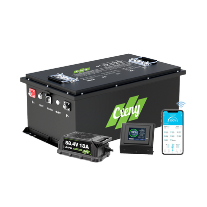 Cxeny 48V 160Ah Lithium Golf Cart Battery 200A Bluetooth BMS With 18A Charger