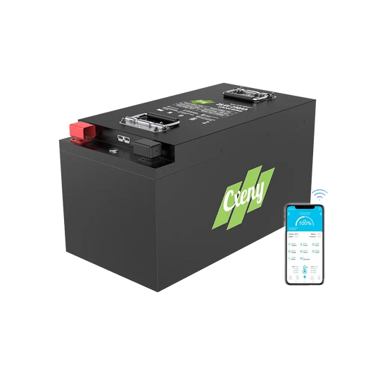 Cxeny 24V 200Ah Lithium Battery 8000+ Cycles Built-in 200A BMS With Bluetooth