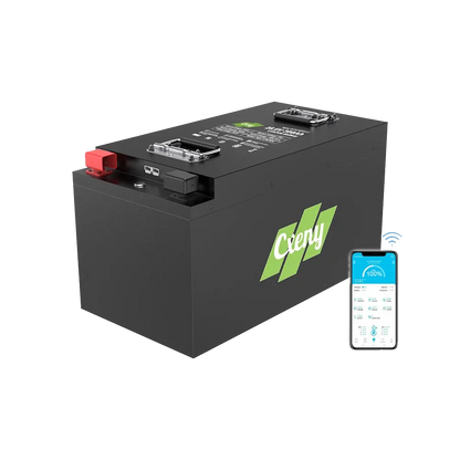 Cxeny 24V 300AH LiFePO4 Battery 8000+ Cycles Built-in Bluetooth 200A BMS
